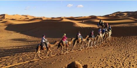 Excursiones al desierto desde Marrakech: guía para descubrir el Sahara