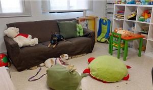 Perros que ayudan a víctimas en los juzgados de Huelva