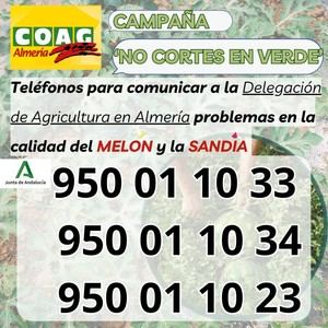 COAG Almería pide controles de calidad para melones y sandías importados