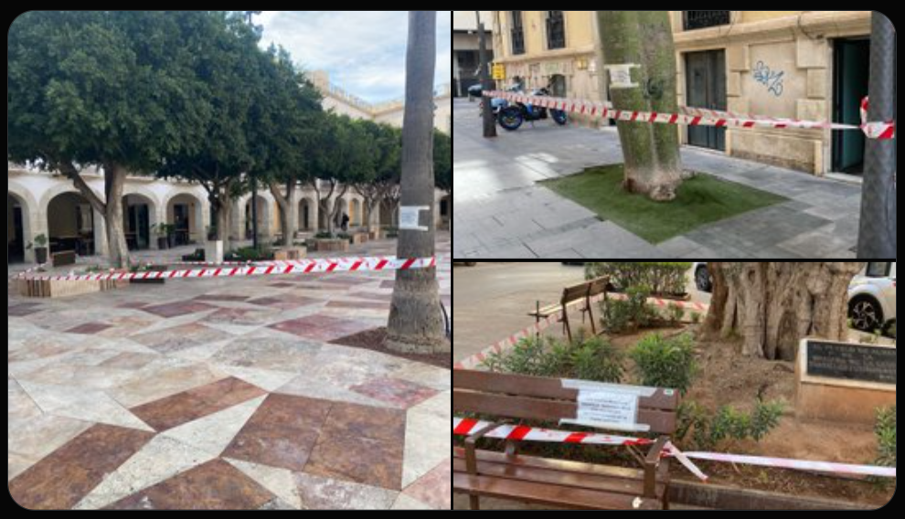 Ayuntamiento baliza árboles ante previsiones meteorológicas