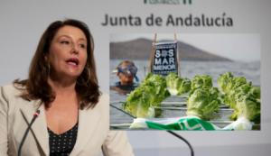 Carmen y los ecologistas