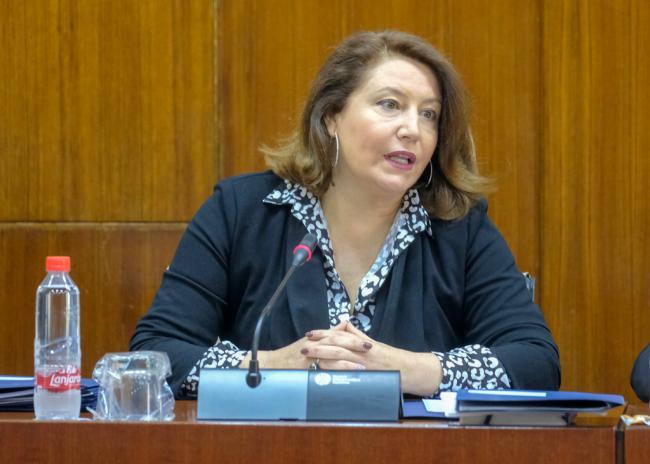 La Junta 'trabaja' en una solución para el acceso a Mónsul, Genoveses y El Barronal