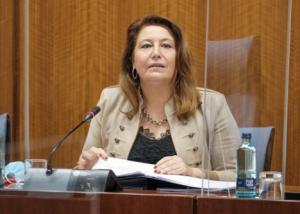 Crespo alerta de que "habrá que investigar" el por qué de ciertos incendios en Almería