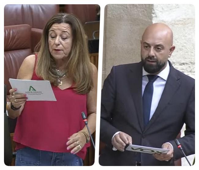 Vox dice que enseñar árabe en el colegio es 'islamizar'