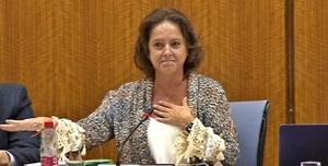 Zasca al PSOE en el Parlamento a cuenta del hospital privado de Roquetas