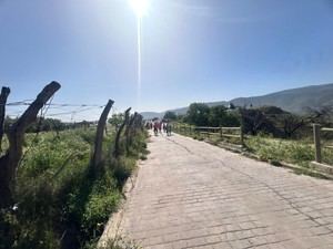 Casi 200 mayores participan en rutas de la Olimpiada de Vícar