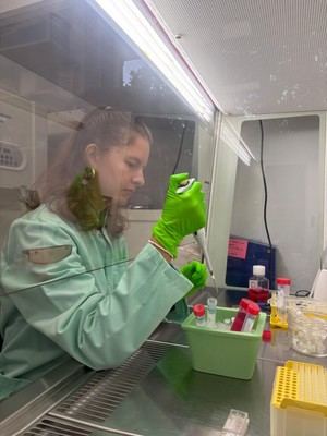 Investigadores andaluces descubren molécula que mejora la salud intestinal en Almería