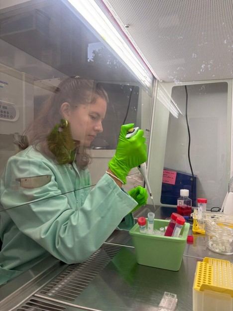Investigadores andaluces descubren molécula que mejora la salud intestinal en Almería