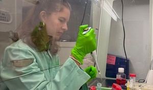 Científicos andaluces descubren molécula que fortalece defensas intestinales
