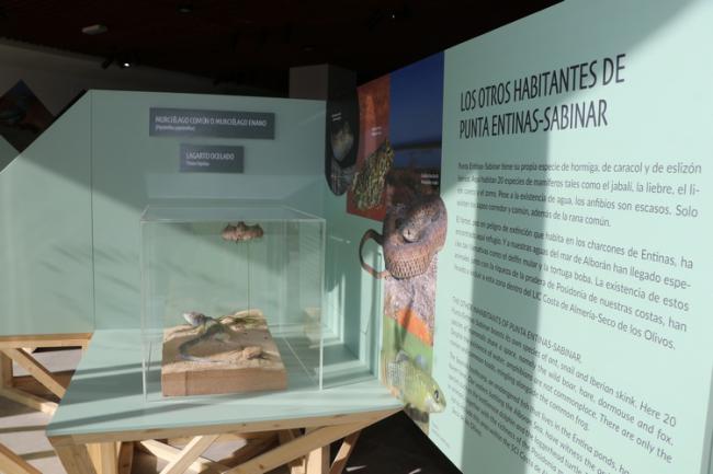 Cerca de mil estudiantes visitan el Centro de Interpretación de Punta Entinas en seis meses