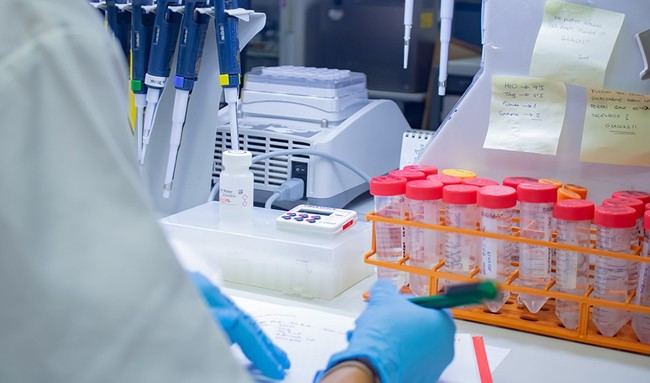 Ayudas de 3,3 millones para investigación en salud en Almería