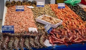 Almería se beneficia de 6,5 millones en ayudas para productos pesqueros y acuícolas