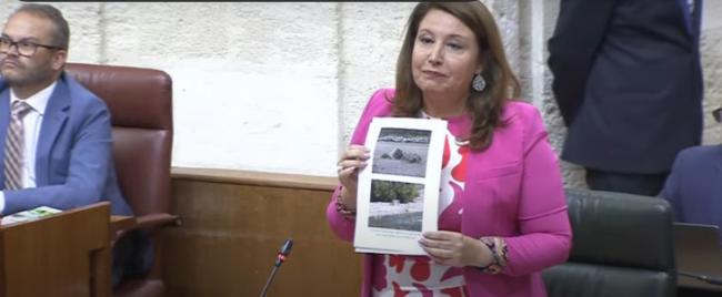 Crespo reprocha a Lorenzo el papel de Espadas en la paralización de la EDAR de Vélez Rubio