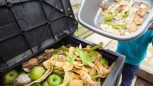 España logra la menor tasa de desperdicio de alimentos en 8 años