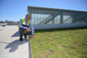 Recta final en la instalación de la cubierta vegetal en el Pabellón de El Toyo