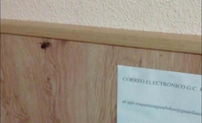 La Guardia Civil de Almería 'retrata' a su directora general