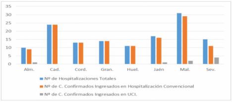 Almería mantiene 10 hospitalizados por covid19