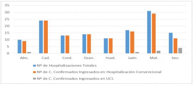 Almería mantiene 10 hospitalizados por covid19