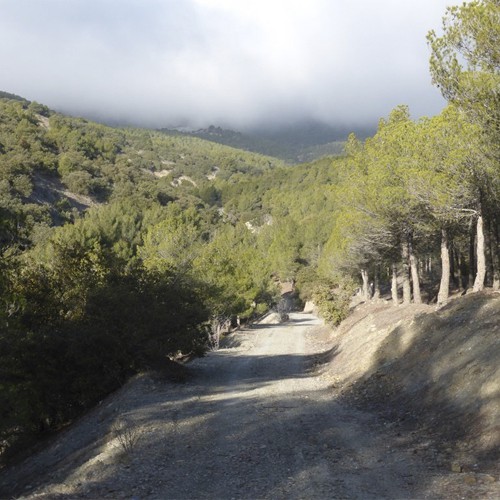 Vuelve el programa 'Deporte y Naturaleza' a la Sierra de Los Filabres