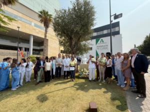 Almería registra 15 donantes de órganos y 32 de tejidos en 2025
