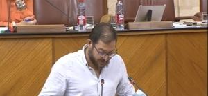 La turismofobia del parlamentario Diego Crespo
