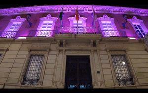 Diputación se ilumina de morado por el Síndrome de Dravet