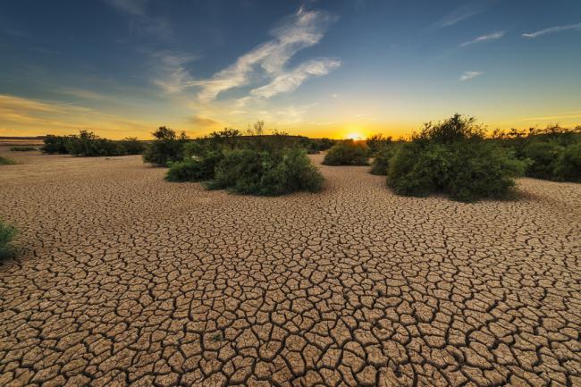 Almería es una de las provincias más afectadas por la sequía
