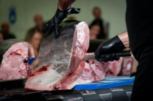 Roquetas de Mar organiza las I Jornadas de Ronqueo y Gastronomía del Pez Espada