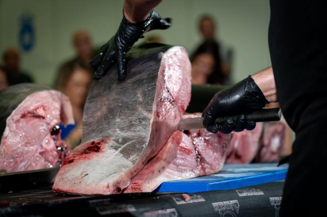 Roquetas de Mar organiza las I Jornadas de Ronqueo y Gastronomía del Pez Espada