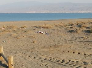 El Partido Animalista alerta de la destrucción de importantes sistemas dunares en Cabo de Gata