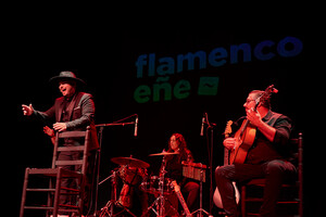 Almería será sede en noviembre de la XI Muestra de Flamenco para Programadores Internacionales de la Fundación SGAE