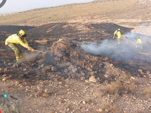 Un conato de incendio forestal moviliza al Infoca en Almería