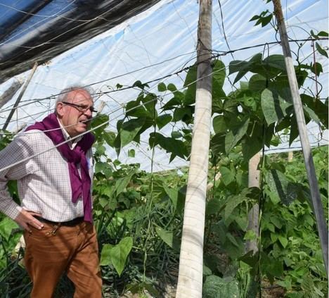 Alcalde de Vícar solicita al Gobierno rebaja fiscal para agricultores afectados por virosis y clima adverso