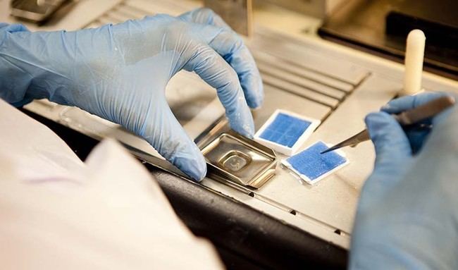 Biobanco andaluz, pionero en líneas celulares en Almería y España
