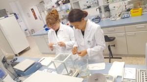 Investigación sobre praderas marinas revela impacto del cambio climático