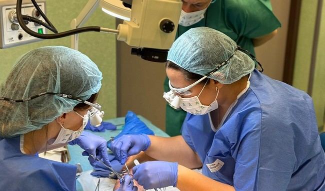 Mejora en atención a lesiones complejas en Andalucía
