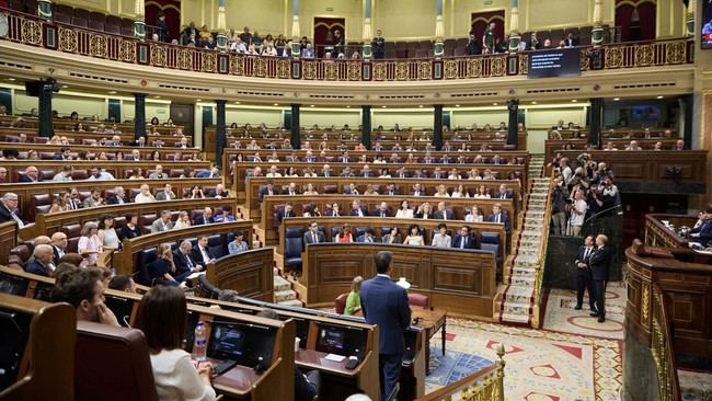 El Congreso celebra su último pleno antes del verano sin Pedro Sánchez