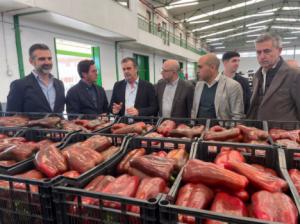 Fernández-Pacheco destaca subastas como clave del sector hortofrutícola