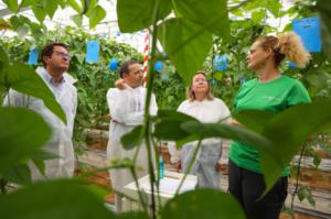 La Junta respalda proyectos de innovación agrícola en El Ejido a través de la Agencia Trade