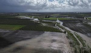 Ayudas para el campo almeriense tras las borrascas recientes