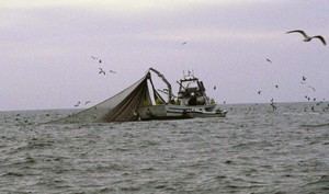 Andalucía destina 4,2 millones para potenciar la pesca
