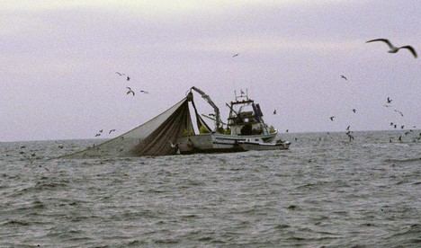 Andalucía destina 4,2 millones para potenciar la pesca
