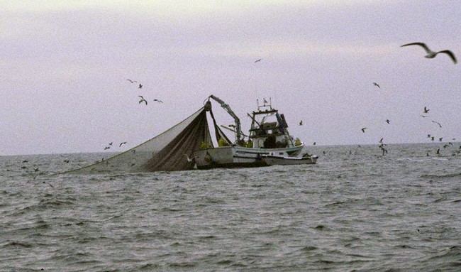 Andalucía destina 4,2 millones para potenciar la pesca