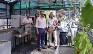 Laboratorio en Andalucía para combatir la sequía en cultivos mediterráneos