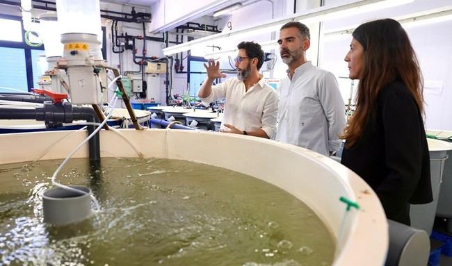 Aumentan a 7,6 millones las ayudas para acuicultura en Andalucía