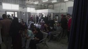 El hambre causa 33 muertes en Gaza en solo dos días