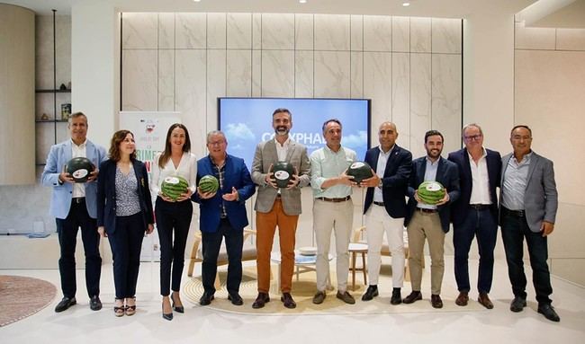 El Plan Estratégico de Frutas y Hortalizas en Almería alcanza el 60% de ejecución