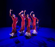 Premios Flamenco Talent: Jóvenes talentos brillan en Granada