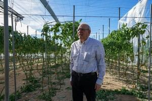 El Pleno de Vícar discutirá una rebaja fiscal para agricultores afectados por desastres climáticos