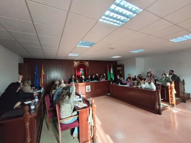 Vícar conmemora el 25N en su Pleno Municipal